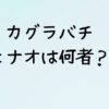 カグラバチのヒナオは何者？