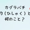 カグラバチの毘灼とは何のこと？