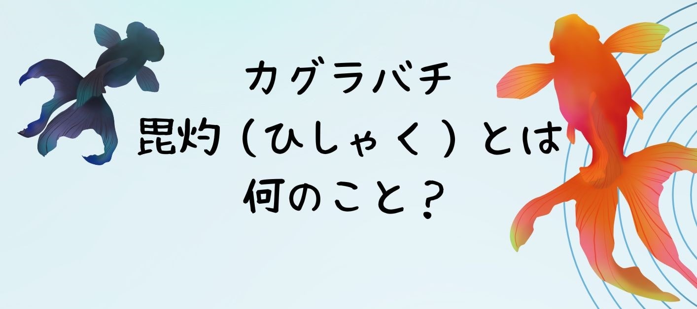 カグラバチの毘灼とは何のこと？