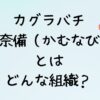 カグラバチの神奈備（かむなび）とはどんな組織