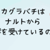 カグラバチはナルトから影響を受けているの？